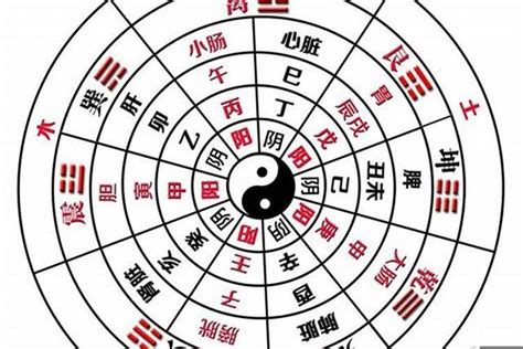 八字全陰名人|八字纯阴的历史名人一览，八字纯阴少见吗？